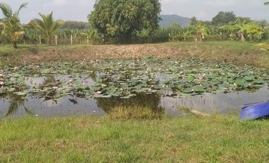 4 Bedroom House for sale in Khao Noi, Kanchanaburi