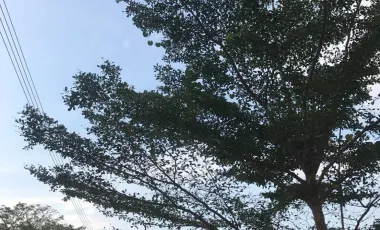 .Relax & Unwind: 1,000 SqM Hotel for Sale, ฿16.8M