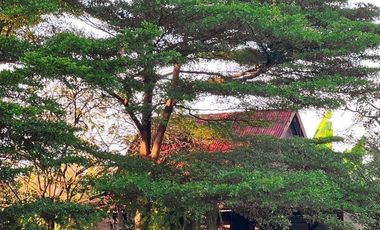 3 Bedroom Villa for sale in Bang Sao Thong, Samut Prakan