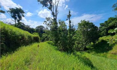 VENDO FINCA DE 50 HA CON AGUA