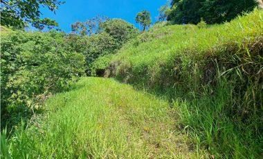 VENDO FINCA DE 50 HA CON AGUA