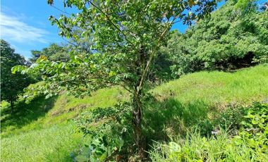 VENDO FINCA DE 50 HA CON AGUA
