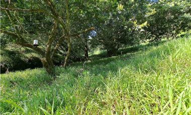 VENDO FINCA DE 50 HA CON AGUA