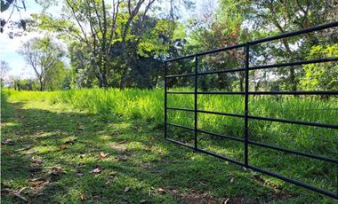 VENDO FINCA DE 50 HA CON AGUA