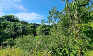 VENDO FINCA DE 50 HA CON AGUA