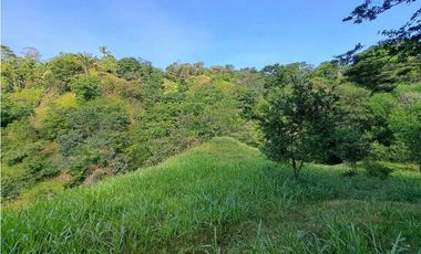 VENDO FINCA DE 50 HA CON AGUA