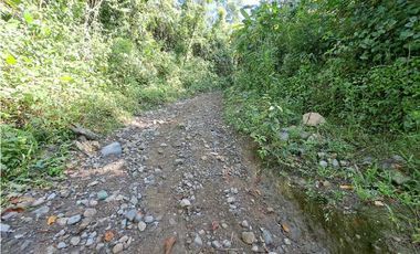 VENDO FINCA DE 50 HA CON AGUA