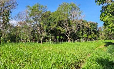 VENDO FINCA DE 50 HA CON AGUA