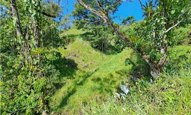 VENDO FINCA DE 50 HA CON AGUA