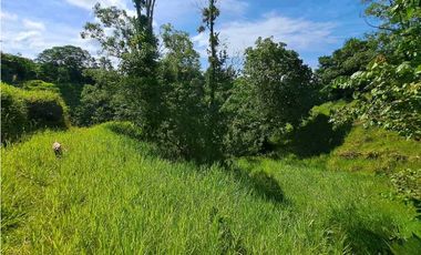 VENDO FINCA DE 50 HA CON AGUA