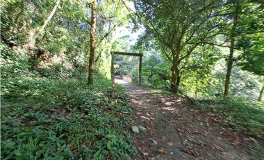 VENDO FINCA DE 50 HA CON AGUA