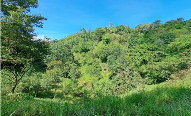 VENDO FINCA DE 50 HA CON AGUA