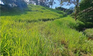VENDO FINCA DE 50 HA CON AGUA