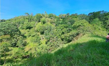 VENDO FINCA DE 50 HA CON AGUA