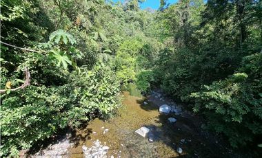VENDO FINCA DE 50 HA CON AGUA