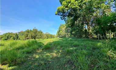 VENDO FINCA DE 50 HA CON AGUA