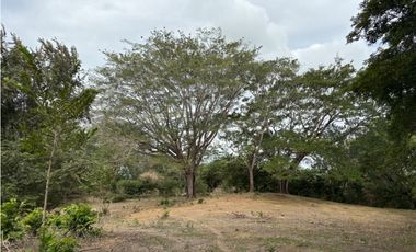SAN CARLOS / LAS LAGARTIJAS / 250000M / GANADERIA / USO COMERCIAL AG