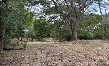 SAN CARLOS / LAS LAGARTIJAS / 250000M / GANADERIA / USO COMERCIAL AG