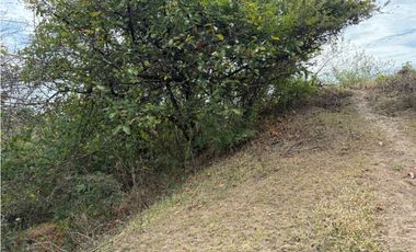 SAN CARLOS / LAS LAGARTIJAS / 250000M / GANADERIA / USO COMERCIAL AG