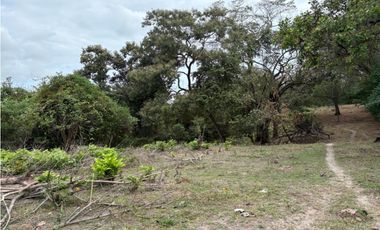 SAN CARLOS / LAS LAGARTIJAS / 250000M / GANADERIA / USO COMERCIAL AG