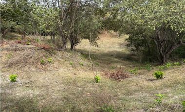 SAN CARLOS / LAS LAGARTIJAS / 250000M / GANADERIA / USO COMERCIAL AG