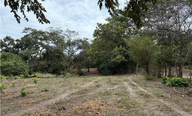 SAN CARLOS / LAS LAGARTIJAS / 250000M / GANADERIA / USO COMERCIAL AG