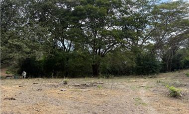 SAN CARLOS / LAS LAGARTIJAS / 250000M / GANADERIA / USO COMERCIAL AG