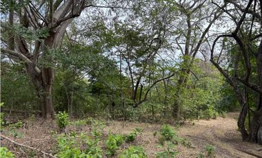 SAN CARLOS / LAS LAGARTIJAS / 250000M / GANADERIA / USO COMERCIAL AG