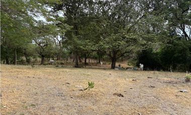 SAN CARLOS / LAS LAGARTIJAS / 250000M / GANADERIA / USO COMERCIAL AG