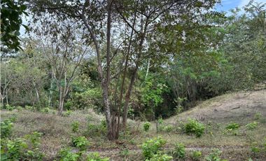 SAN CARLOS / LAS LAGARTIJAS / 250000M / GANADERIA / USO COMERCIAL AG