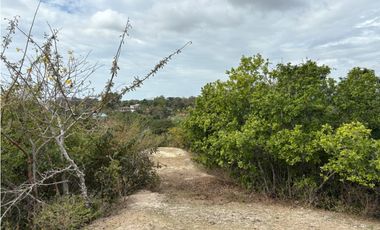 SAN CARLOS / LAS LAGARTIJAS / 250000M / GANADERIA / USO COMERCIAL AG