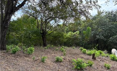 SAN CARLOS / LAS LAGARTIJAS / 250000M / GANADERIA / USO COMERCIAL AG