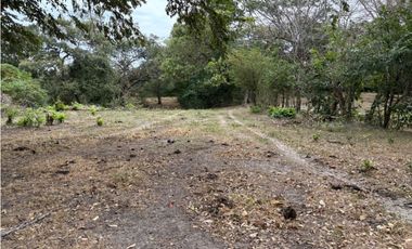 SAN CARLOS / LAS LAGARTIJAS / 250000M / GANADERIA / USO COMERCIAL AG