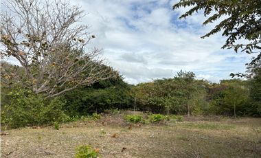 SAN CARLOS / LAS LAGARTIJAS / 250000M / GANADERIA / USO COMERCIAL AG