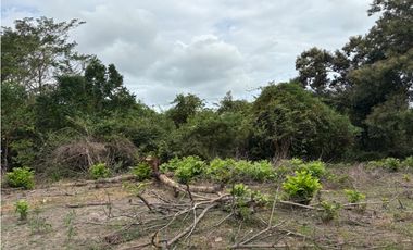 SAN CARLOS / LAS LAGARTIJAS / 250000M / GANADERIA / USO COMERCIAL AG