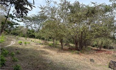 SAN CARLOS / LAS LAGARTIJAS / 250000M / GANADERIA / USO COMERCIAL AG