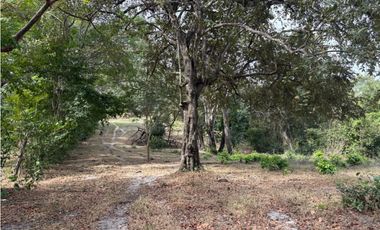 SAN CARLOS / LAS LAGARTIJAS / 250000M / GANADERIA / USO COMERCIAL AG