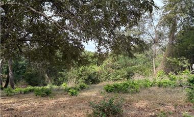 SAN CARLOS / LAS LAGARTIJAS / 250000M / GANADERIA / USO COMERCIAL AG