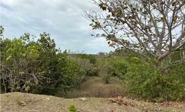 SAN CARLOS / LAS LAGARTIJAS / 250000M / GANADERIA / USO COMERCIAL AG