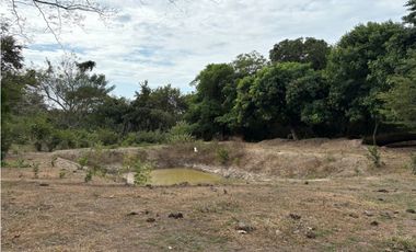 SAN CARLOS / LAS LAGARTIJAS / 250000M / GANADERIA / USO COMERCIAL AG