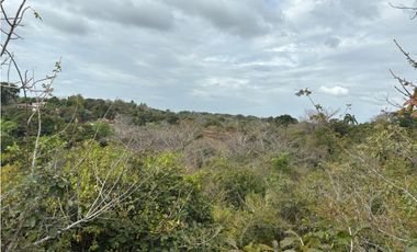 SAN CARLOS / LAS LAGARTIJAS / 250000M / GANADERIA / USO COMERCIAL AG