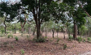 SAN CARLOS / LAS LAGARTIJAS / 250000M / GANADERIA / USO COMERCIAL AG