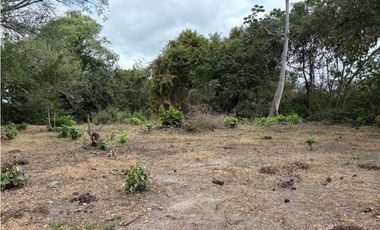 SAN CARLOS / LAS LAGARTIJAS / 250000M / GANADERIA / USO COMERCIAL AG