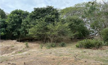 SAN CARLOS / LAS LAGARTIJAS / 250000M / GANADERIA / USO COMERCIAL AG