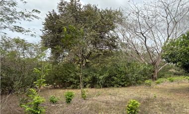 SAN CARLOS / LAS LAGARTIJAS / 250000M / GANADERIA / USO COMERCIAL AG