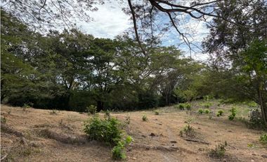 SAN CARLOS / LAS LAGARTIJAS / 250000M / GANADERIA / USO COMERCIAL AG