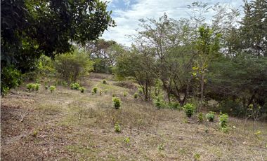 SAN CARLOS / LAS LAGARTIJAS / 250000M / GANADERIA / USO COMERCIAL AG