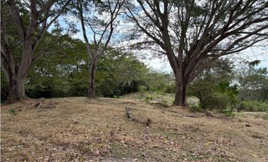 SAN CARLOS / LAS LAGARTIJAS / 250000M / GANADERIA / USO COMERCIAL AG