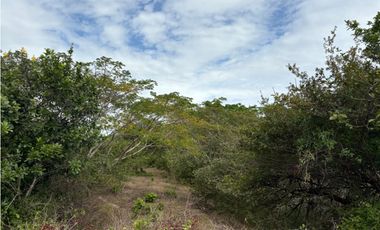 SAN CARLOS / LAS LAGARTIJAS / 250000M / GANADERIA / USO COMERCIAL AG