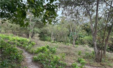 SAN CARLOS / LAS LAGARTIJAS / 250000M / GANADERIA / USO COMERCIAL AG